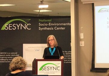 Dr. Margaret Palmer giving a presentation about SESYNC.Picture