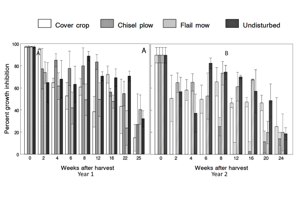 Figure 2: A bar chart showing the percent corn earworm growth inhibition as a function of time after harvest from both study years. Note the differing trends of the chisel plow treatment (2nd bar in each grouping) between both sampling years. For all treatments, the Cry protein broke down over time. 