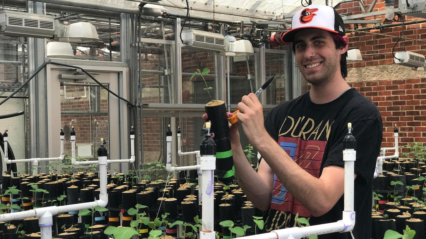 Image of Randall in the greenhouse
