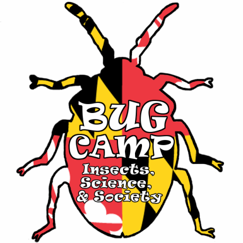 Bug Camp logo