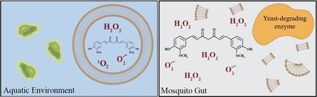 Illustration of yeast encapsulation of PSIs protecting microorganisms while harming mosquitoes
