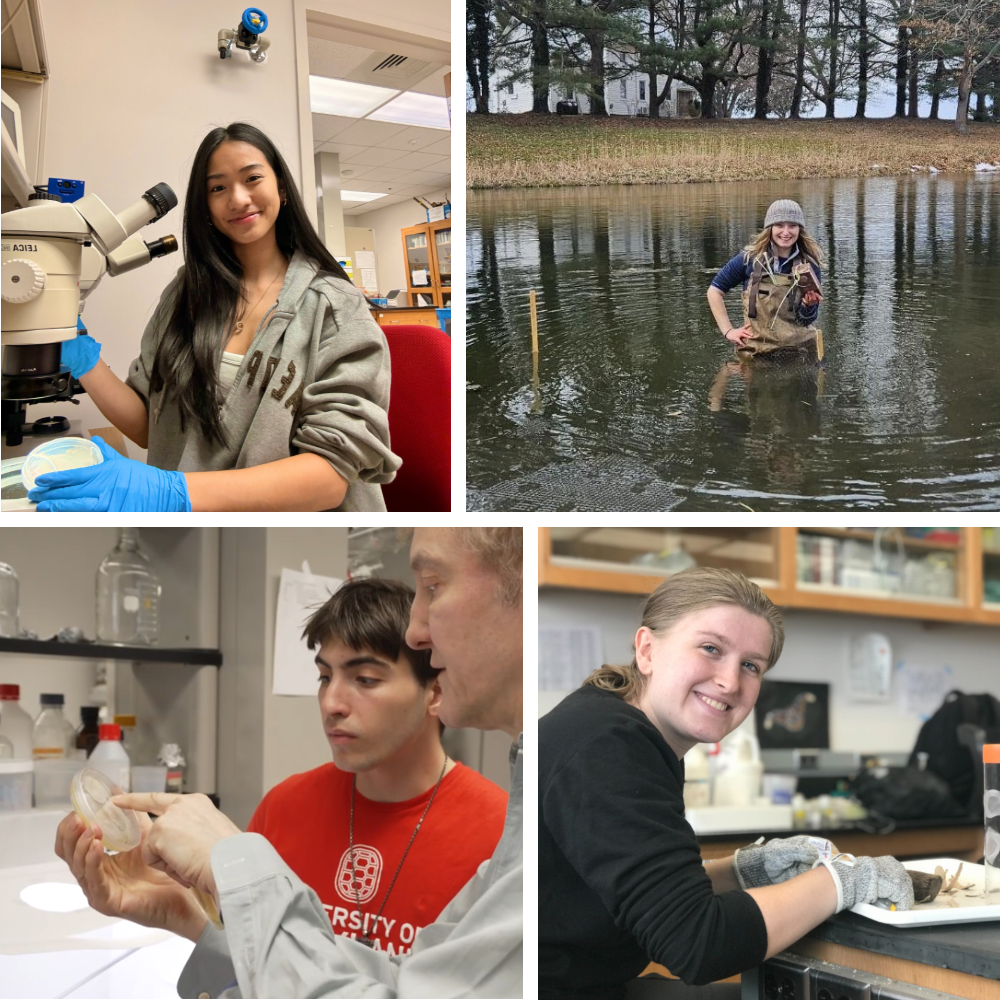 Collage of Award Recipients in lab or field