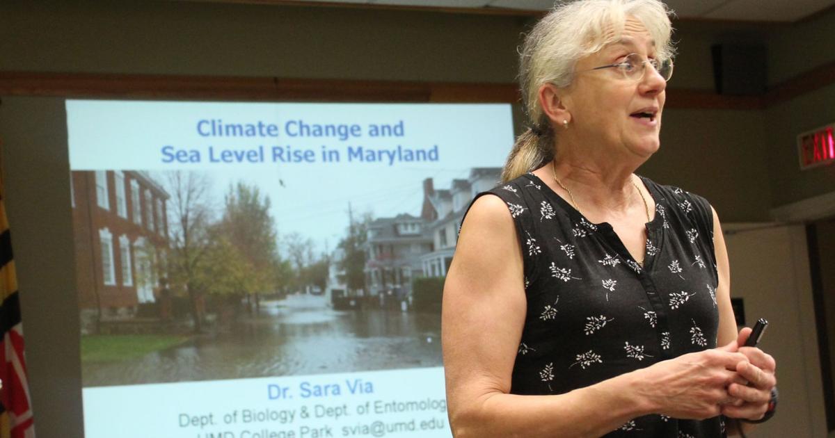 Sara Via at Ext talk