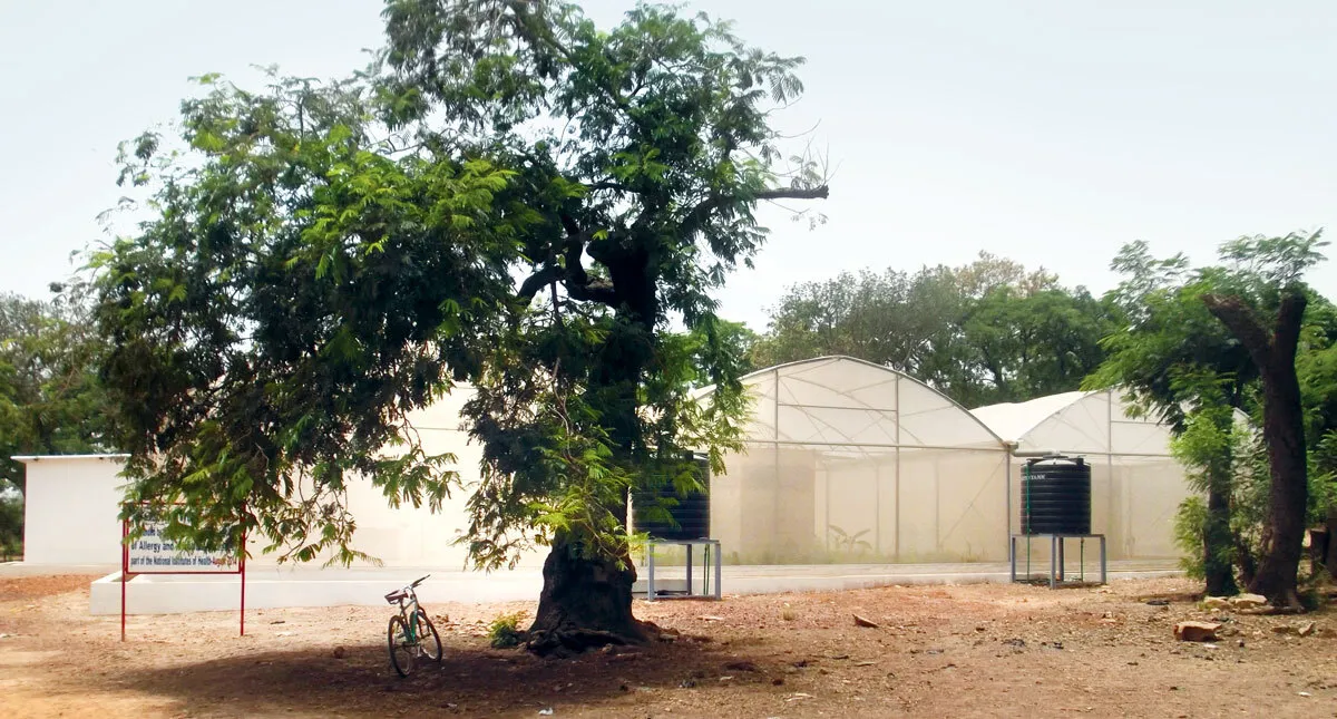 MosquitoSphere facility