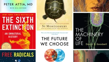 CMNS Summer Reads for 2024