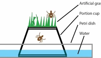 [Seminar Blog] Ticks on a Carousel: Development of a Novel Repellency Assay and Exploring Repellent Compounds