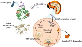 [Seminar Blog] The Present and Future of Bt GMOs, RNAi pesticides, and the Development of Resistance