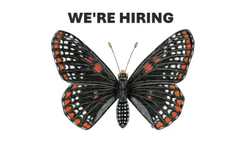 We're hiring for multiple tenure-track faculty positions
