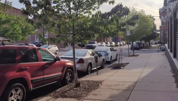 Urban Trees Rooted in Redlining and Environmental Injustice