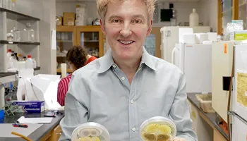 Entomologist Raymond St. Leger Fights Mosquitoes with Fungi