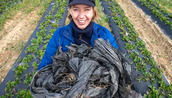 Entomology Alum Finds Her ‘Repurpose’ 