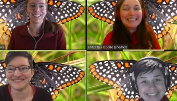 UMD Grad Students to Showcase Their Insect Knowledge at National Entomology Games
