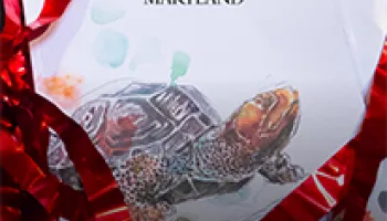 Congratulations to the College's May 2020 Graduates!