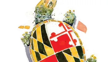 Congratulations to the College's Spring 2021 Candidates for Graduation!