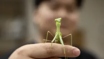 What It Takes: The Insect Zoo