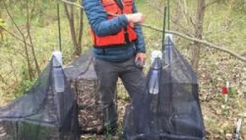 Rake Less, See Butterflies More