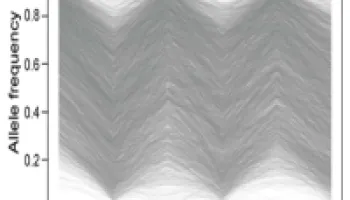 [Seminar Blog] Fall Flies and Spring Flies - The Rapid Pace of Adaptation in Fruit Flies