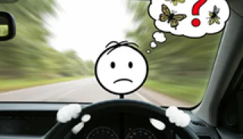  [Seminar Blog] The Xerces Society: An Invertebrate Conservation Mission