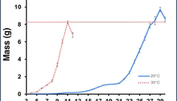 [Seminar Blog] Genetic Accommodation in a Heating World