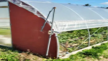 [Seminar Blog] Walking Generalist Predators as Pest Management in High Tunnel Systems