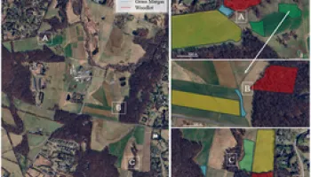 Supporting Soil Arthropods in Forage Systems