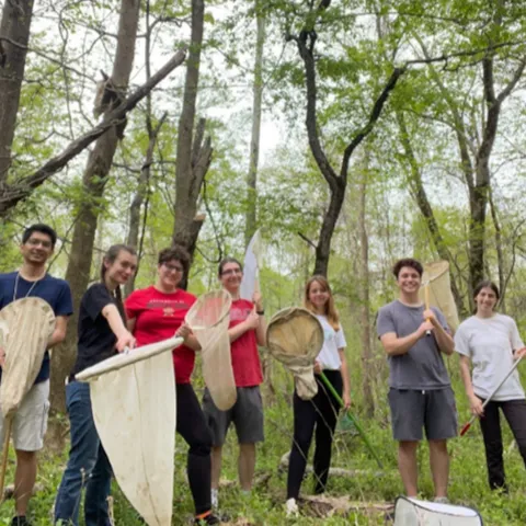 Entomology undergraduates