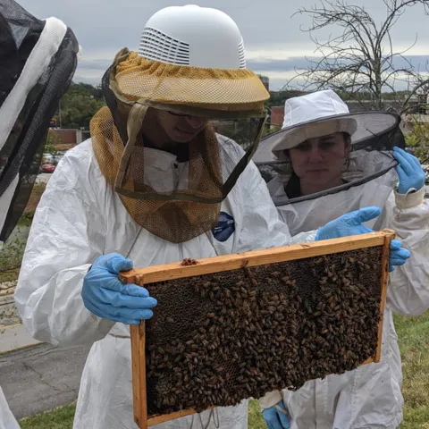 Grad - TA on field trip to apiary - Reding