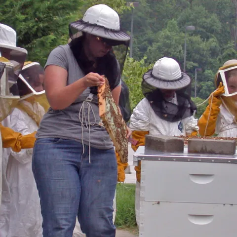 Bug Camp - campers at the bee hives