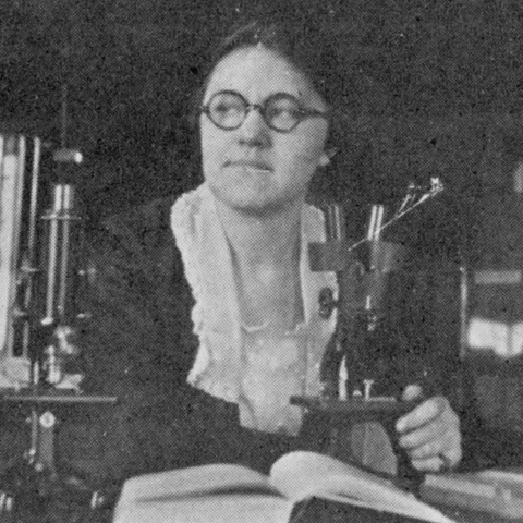 Elizabeth Hook at a microscope 1920