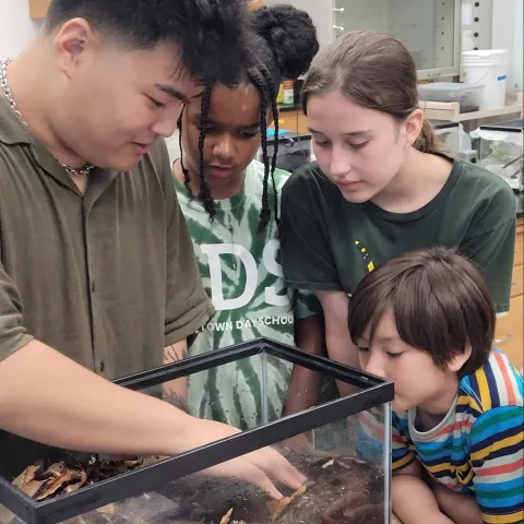 Ryan Lee in the Insect Zoo