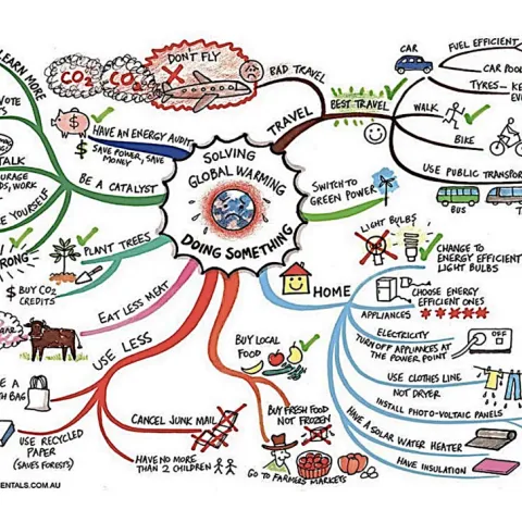 web graphic of things you can do to help combat climate change