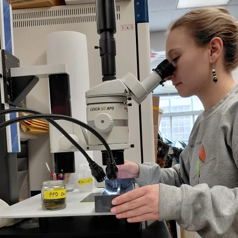 Amy Goodman in the Lamp lab