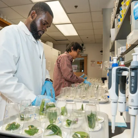 Photo in the Krishnan lab