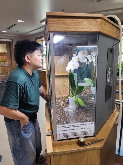 Insect Zoo display in the Plant Sciences Building