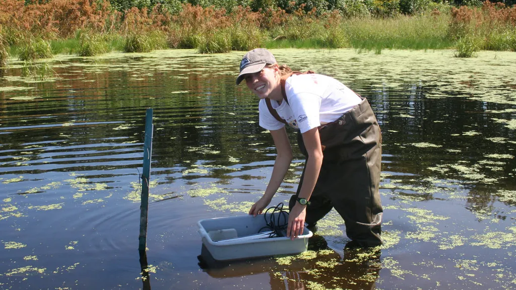 Honors program student