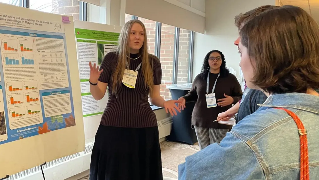 Entomology Honors Student Katherine Siniuk presenting at ESA