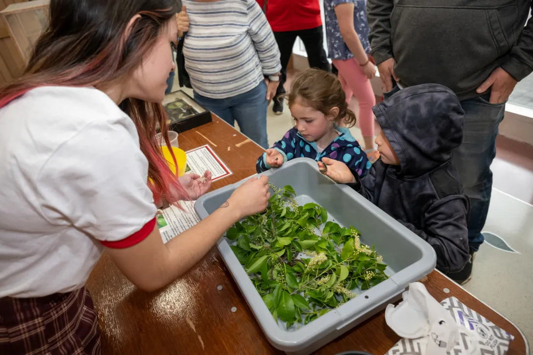Insect-Zoo-Maryland-Day-2023