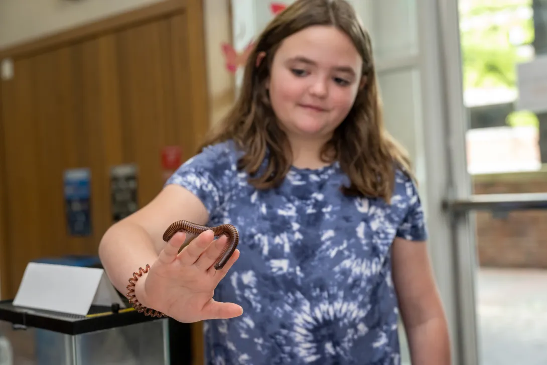 Insect-Zoo-Maryland-Day-2023