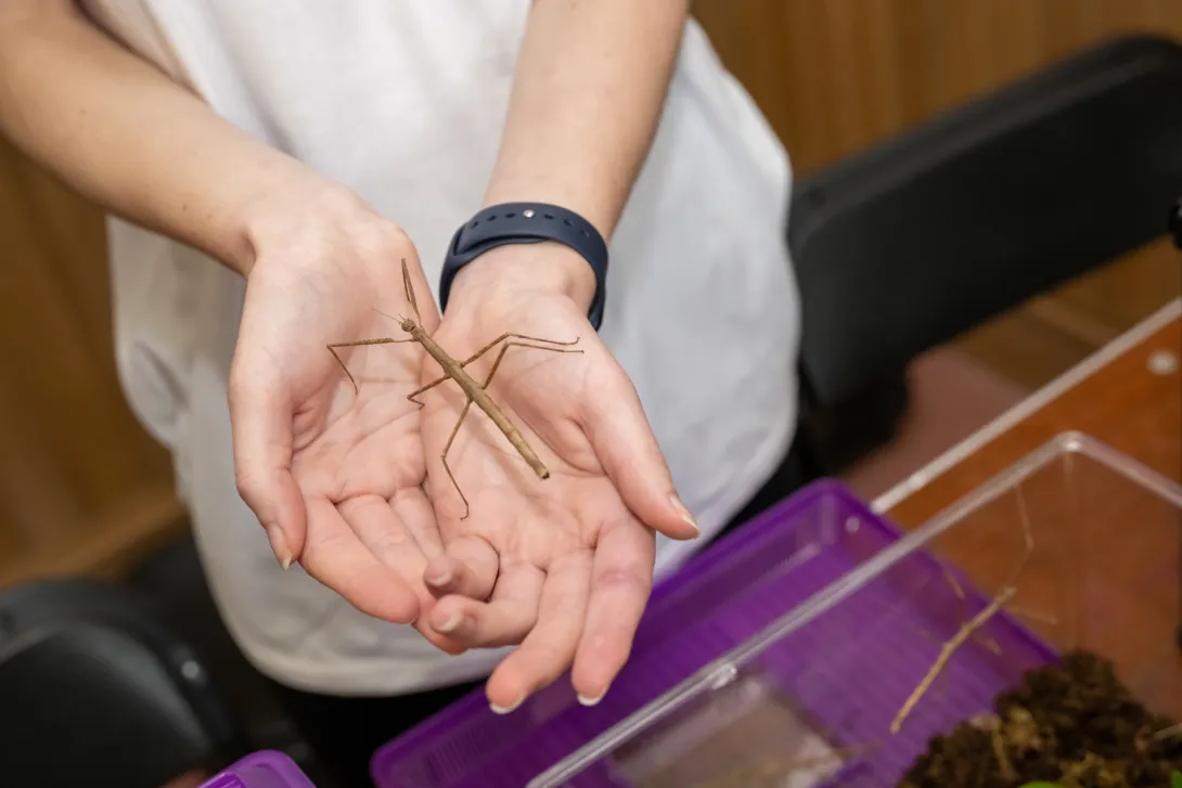 Insect-Zoo-Maryland-Day-2023