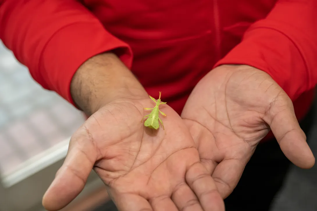 Insect-Zoo-Maryland-Day-2023