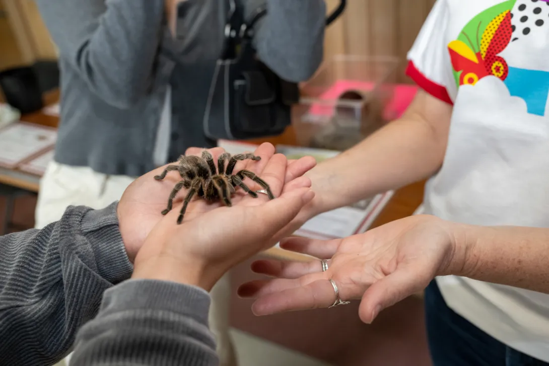 Insect-Zoo-Maryland-Day-2023