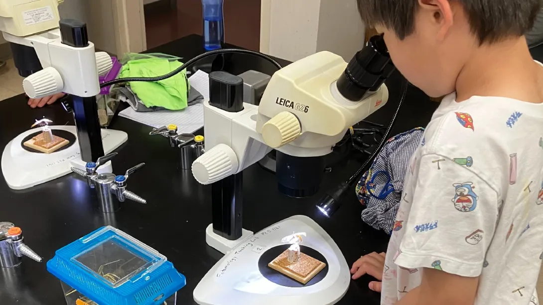 Bug camp student looking into a microscope