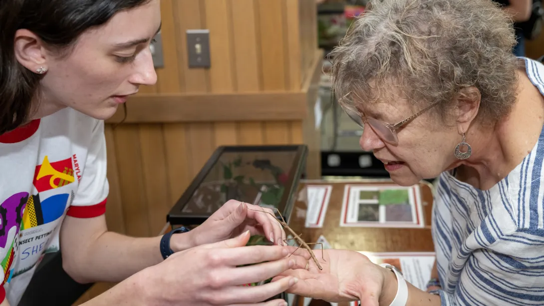 Insect-Zoo-Maryland-Day-2023