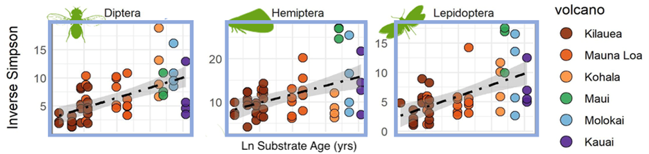 Figure 2a: Alpha diversity increases as age of substrate increases for most insect groups. Shown here are three insect orders (Diptera, Hemiptera, and Lepidoptera) sampled from six major locations that follow this trend. Note that for Hemiptera and Lepidoptera, we see a “peak” in alpha diversity on the island of Maui that then decreases for the older islands.
