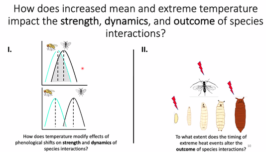  Figure 1. Main questions on how mean (I) and extreme (II) temperatures affect parasitoid systems.