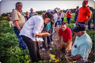 PictureKate Everts (Plant Pathology Specialist, UMD Extension) inspects a diseased pumpkin root at an evening farm meeting with agents and producers.  Photo by E Remsberg