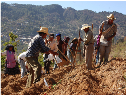 Figure 3. A peasant leader training other farmers on soil conservation techniques in Central America. (Nicholls & Altieri, 2018)
