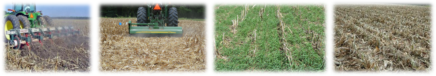 Figure 1: The four post-harvest management styles analyzed in Yurchak’s study. The images depict, from left to right, chisel plowing, flail mowing, cover cropping and leaving the field undisturbed.