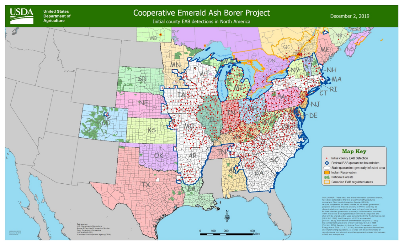 Figure 2: EAB spreads fast to North America: 35 U.S. states/4 Canadian provinces since its first detection in 2002 (image credit: USDA APHIS). 