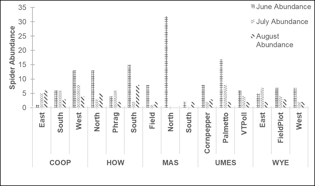 Figure 1. Total spider abundance collected from each ditch across each sampling period via sweep net sampling.